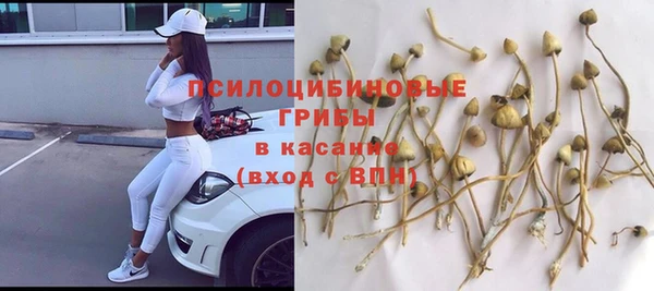 прущий лед Богданович
