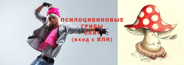 прущий лед Богданович