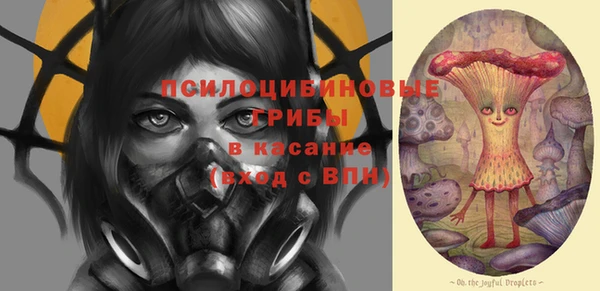 ALPHA PVP Богородицк