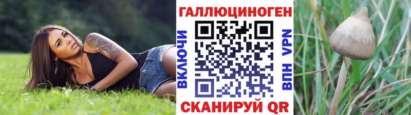 Галлюциногенные грибы GOLDEN TEACHER  Купить где  Наволоки 
